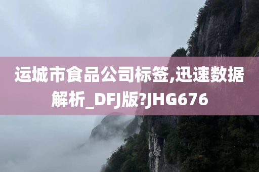 运城市食品公司标签,迅速数据解析_DFJ版?JHG676