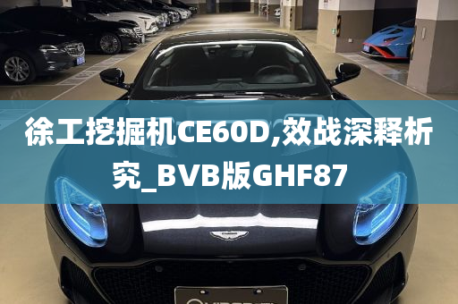 徐工挖掘机CE60D,效战深释析究_BVB版GHF87