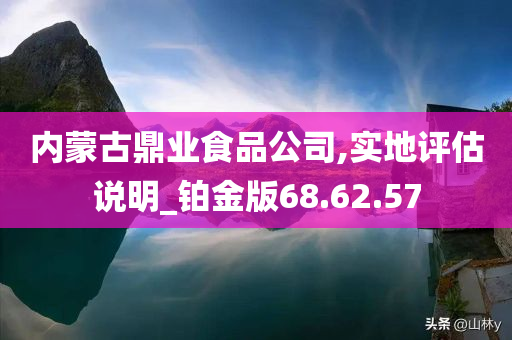 内蒙古鼎业食品公司,实地评估说明_铂金版68.62.57