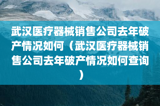 武汉医疗器械销售公司去年破产情况如何（武汉医疗器械销售公司去年破产情况如何查询）