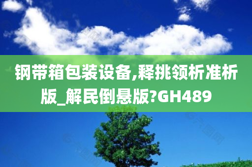 钢带箱包装设备,释挑领析准析版_解民倒悬版?GH489