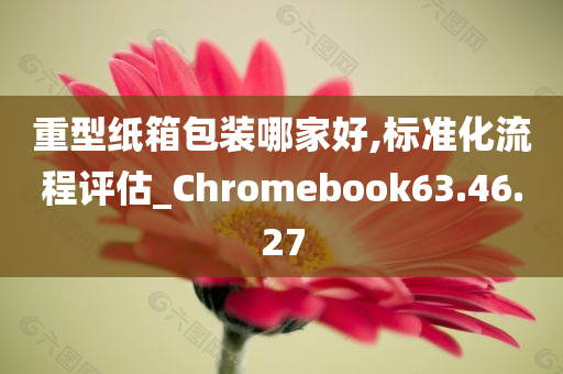 重型纸箱包装哪家好,标准化流程评估_Chromebook63.46.27