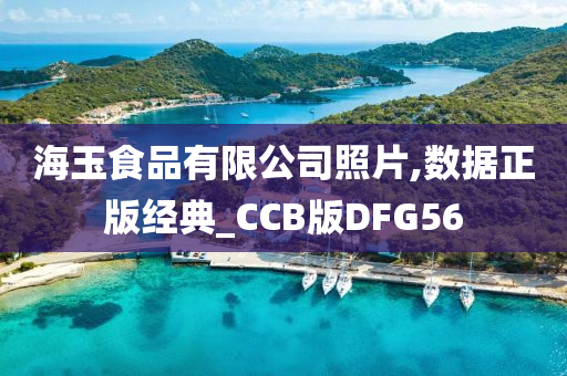 海玉食品有限公司照片,数据正版经典_CCB版DFG56