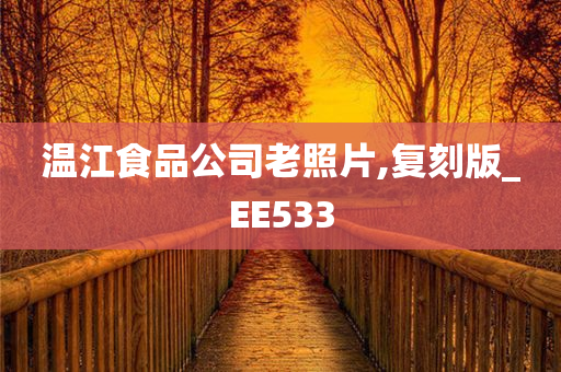 温江食品公司老照片,复刻版_EE533