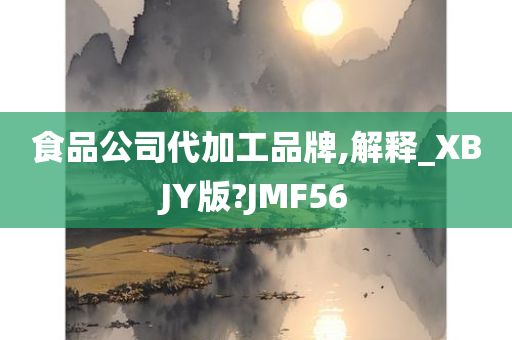 食品公司代加工品牌,解释_XBJY版?JMF56