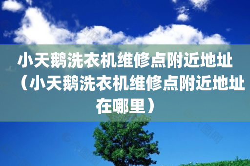 小天鹅洗衣机维修点附近地址（小天鹅洗衣机维修点附近地址在哪里）