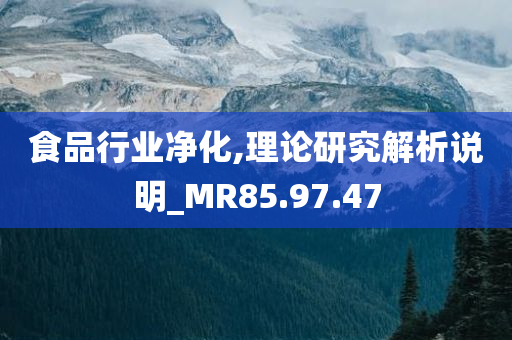 食品行业净化,理论研究解析说明_MR85.97.47