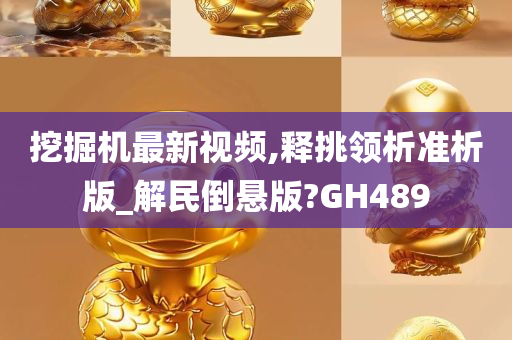 挖掘机最新视频,释挑领析准析版_解民倒悬版?GH489