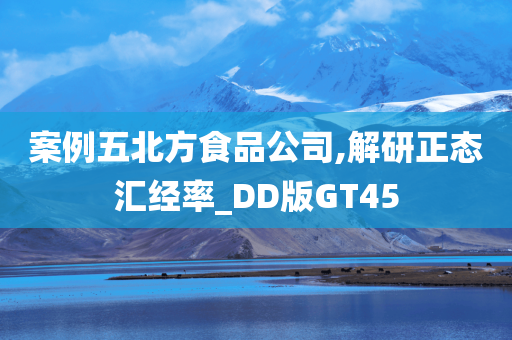 案例五北方食品公司,解研正态汇经率_DD版GT45