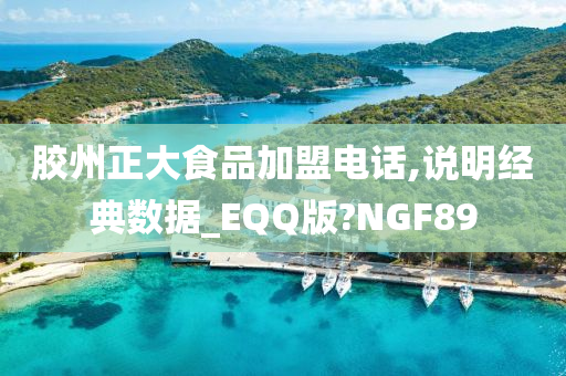 胶州正大食品加盟电话,说明经典数据_EQQ版?NGF89