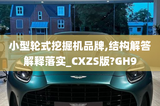 小型轮式挖掘机品牌,结构解答解释落实_CXZS版?GH9