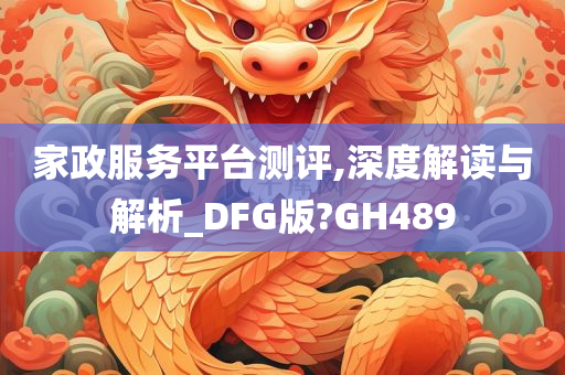 家政服务平台测评,深度解读与解析_DFG版?GH489