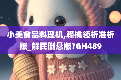 小美食品料理机,释挑领析准析版_解民倒悬版?GH489