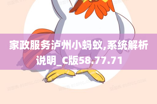 家政服务泸州小蚂蚁,系统解析说明_C版58.77.71