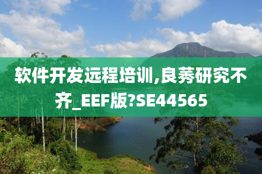 软件开发远程培训,良莠研究不齐_EEF版?SE44565