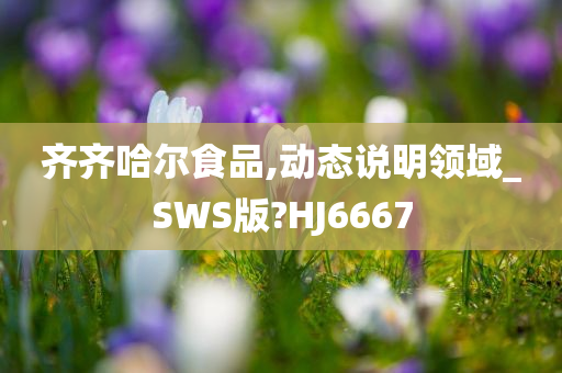 齐齐哈尔食品,动态说明领域_SWS版?HJ6667