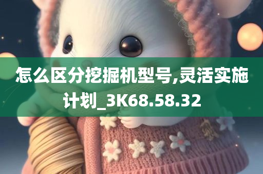 怎么区分挖掘机型号,灵活实施计划_3K68.58.32