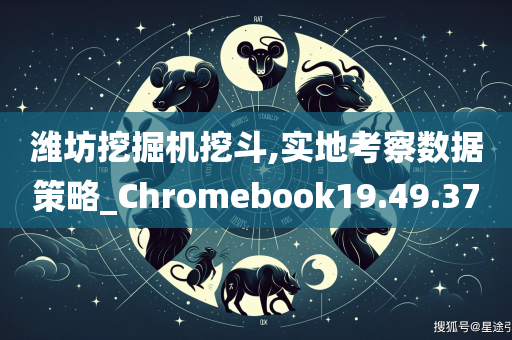 潍坊挖掘机挖斗,实地考察数据策略_Chromebook19.49.37