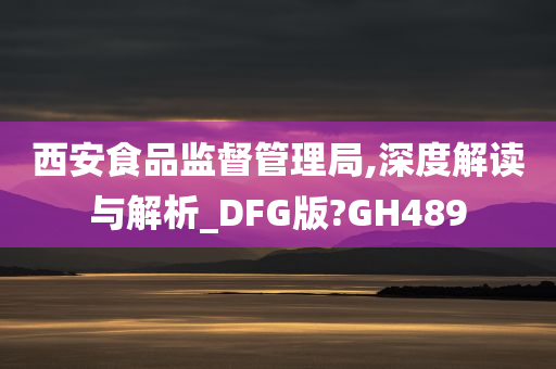 西安食品监督管理局,深度解读与解析_DFG版?GH489