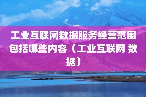 工业互联网数据服务经营范围包括哪些内容（工业互联网 数据）