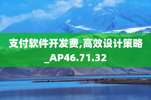 支付软件开发费,高效设计策略_AP46.71.32