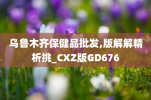 乌鲁木齐保健品批发,版解解精析挑_CXZ版GD676