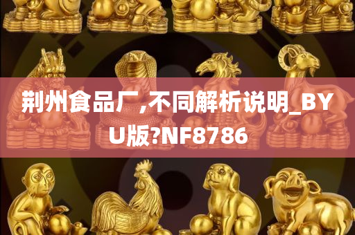 荆州食品厂,不同解析说明_BYU版?NF8786