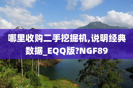 哪里收购二手挖掘机,说明经典数据_EQQ版?NGF89