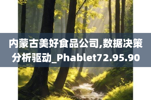 内蒙古美好食品公司,数据决策分析驱动_Phablet72.95.90