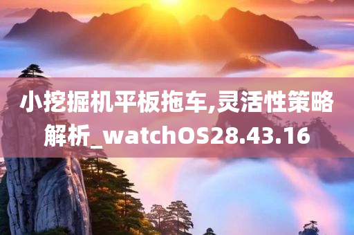 小挖掘机平板拖车,灵活性策略解析_watchOS28.43.16