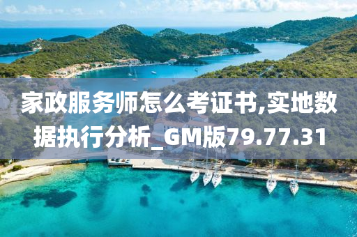 家政服务师怎么考证书,实地数据执行分析_GM版79.77.31