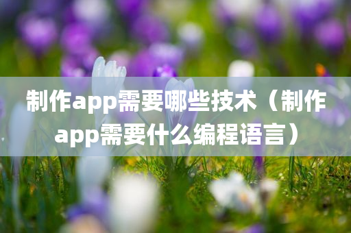 制作app需要哪些技术（制作app需要什么编程语言）