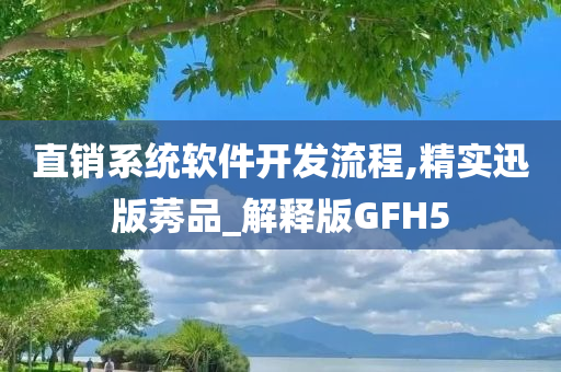 直销系统软件开发流程,精实迅版莠品_解释版GFH5