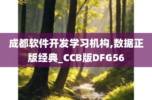 成都软件开发学习机构,数据正版经典_CCB版DFG56