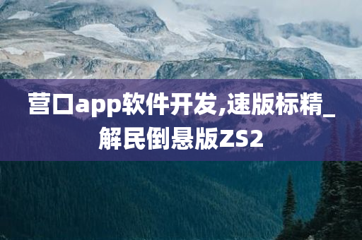 营口app软件开发,速版标精_解民倒悬版ZS2