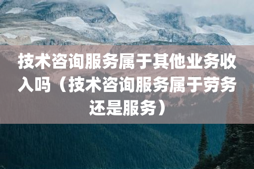 技术咨询服务属于其他业务收入吗（技术咨询服务属于劳务还是服务）