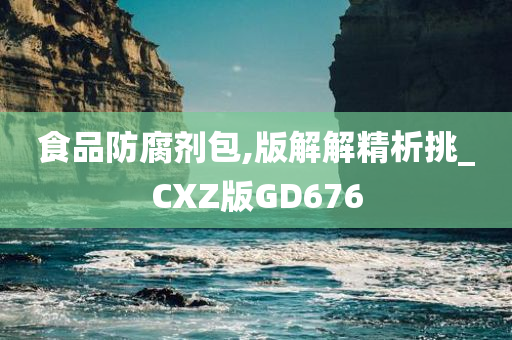 食品防腐剂包,版解解精析挑_CXZ版GD676