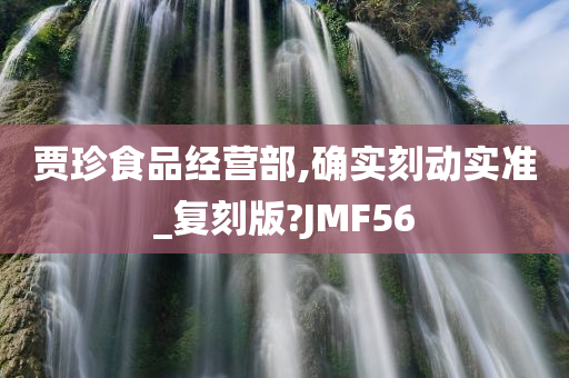 贾珍食品经营部,确实刻动实准_复刻版?JMF56