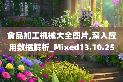 食品加工机械大全图片,深入应用数据解析_Mixed13.10.25