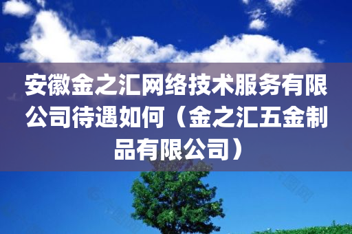 安徽金之汇网络技术服务有限公司待遇如何（金之汇五金制品有限公司）