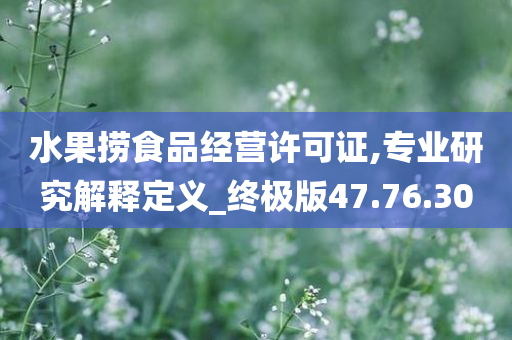 水果捞食品经营许可证,专业研究解释定义_终极版47.76.30