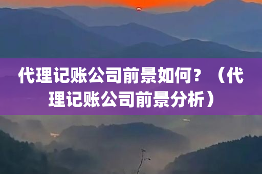 代理记账公司前景如何？（代理记账公司前景分析）