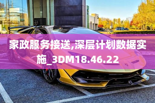 家政服务接送,深层计划数据实施_3DM18.46.22