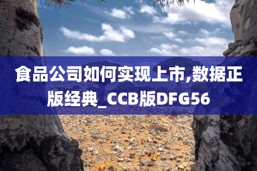 食品公司如何实现上市,数据正版经典_CCB版DFG56