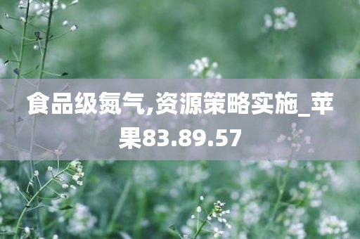 食品级氮气,资源策略实施_苹果83.89.57