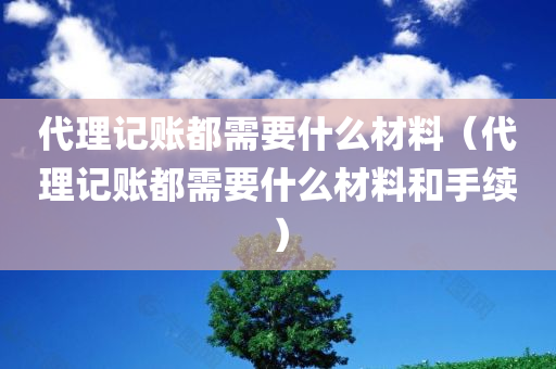 代理记账都需要什么材料（代理记账都需要什么材料和手续）