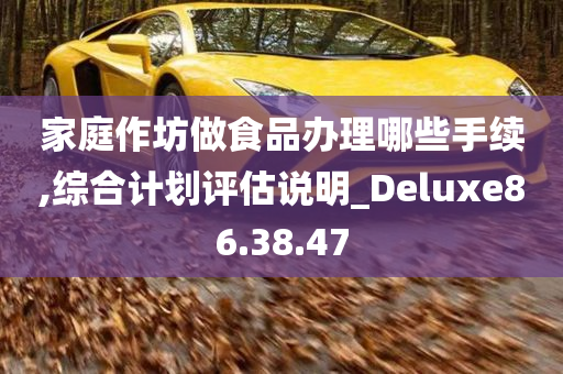 家庭作坊做食品办理哪些手续,综合计划评估说明_Deluxe86.38.47