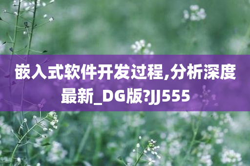 嵌入式软件开发过程,分析深度最新_DG版?JJ555