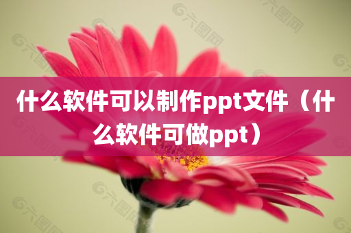 什么软件可以制作ppt文件（什么软件可做ppt）