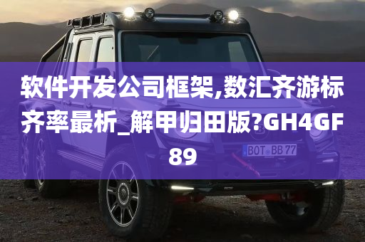 软件开发公司框架,数汇齐游标齐率最析_解甲归田版?GH4GF89